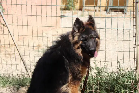 ABOU photo 2
