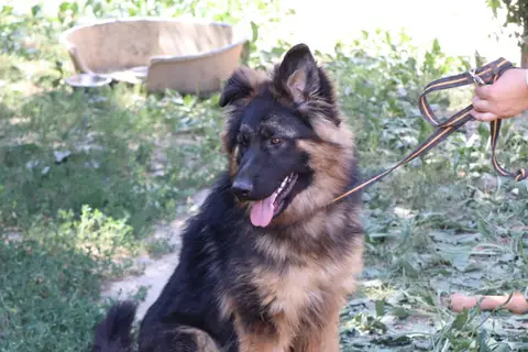 ABOU photo 5
