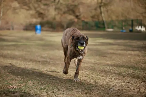 ZEUS photo 5