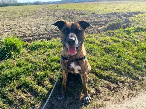 ZEUS photo 10