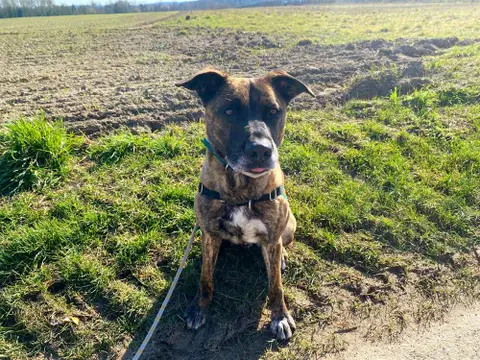 ZEUS photo 14