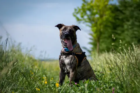 ZEUS photo 16