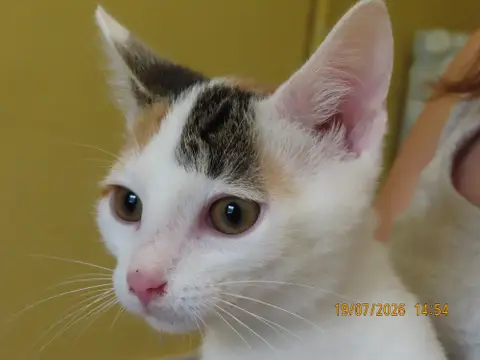 YUMA