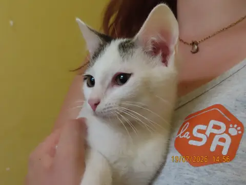 KITA