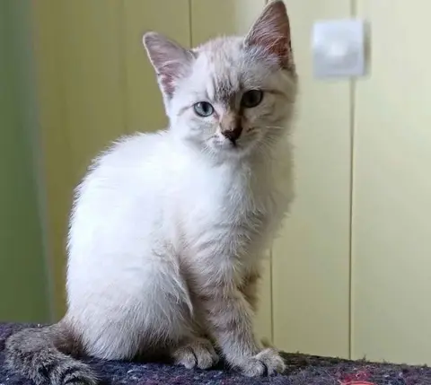 BILI