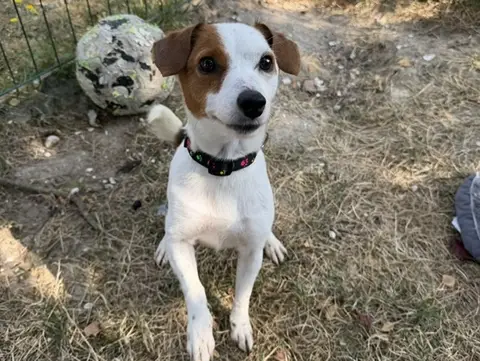 Lyla