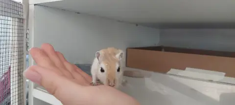 Charlie