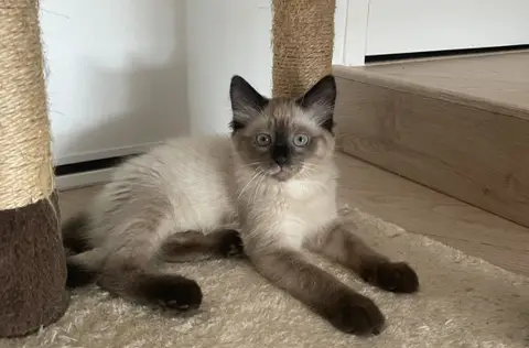 TYKA