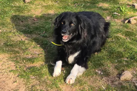 Maïlo