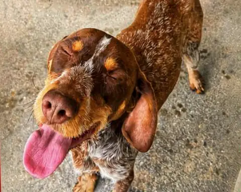 Adopter ASTON QCN