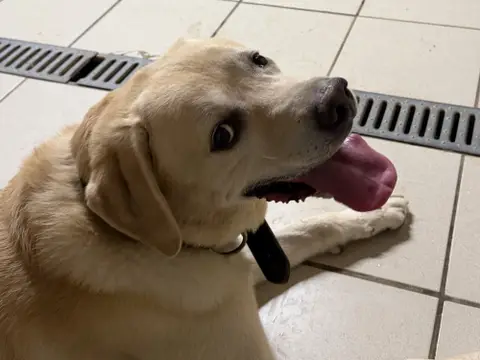 DOUG