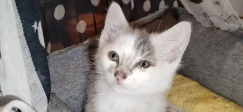 BOBBIE