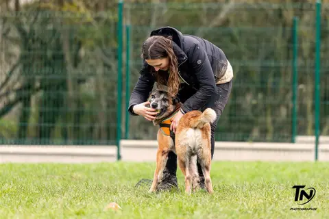 HOUTCH photo 12