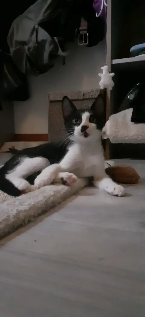 Budy photo 2