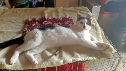 Benjy