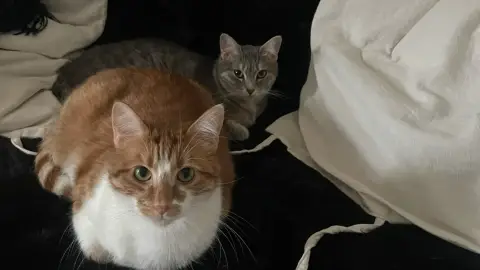 Batman et Maya