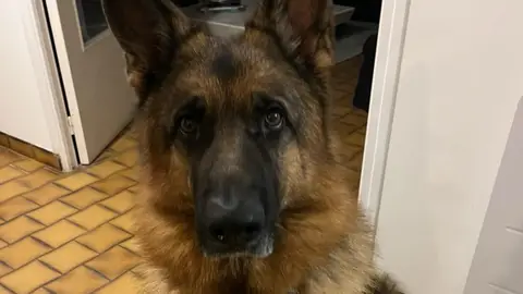 A Adopter