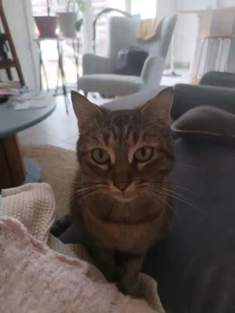 Nala photo 6