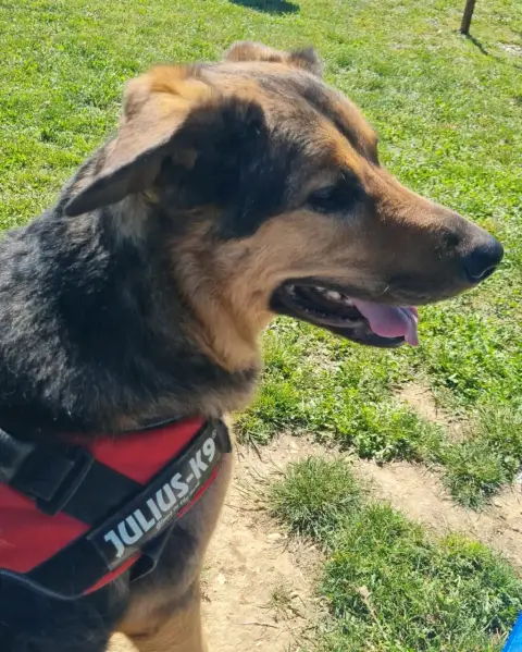 Adoption photo 2