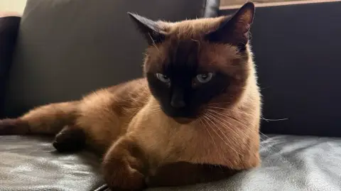 Pablo