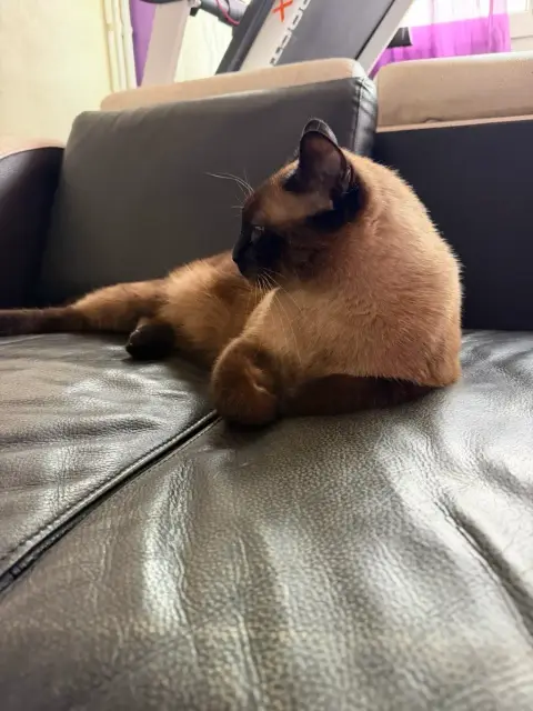 Pablo photo 2