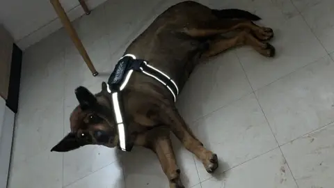 Adopter Booska