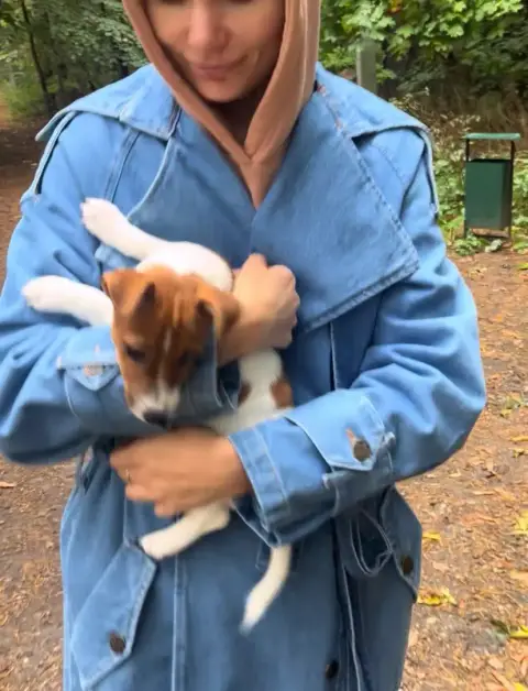 Don Chiot Jack Russel photo 2