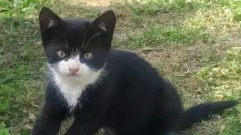 TIFILOU