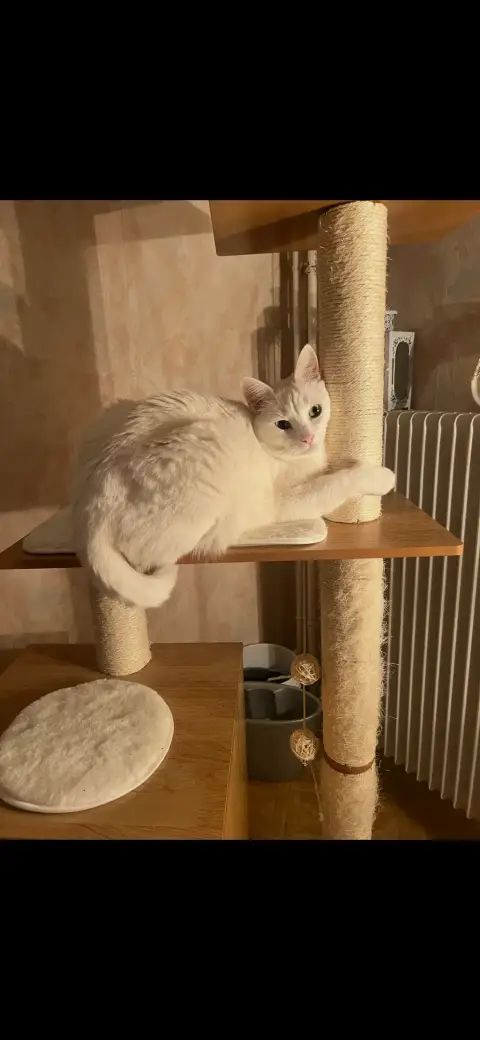 Chat photo 2
