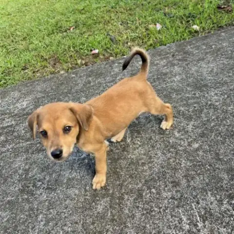 Loki, J'Ai Une Bonne Bouille