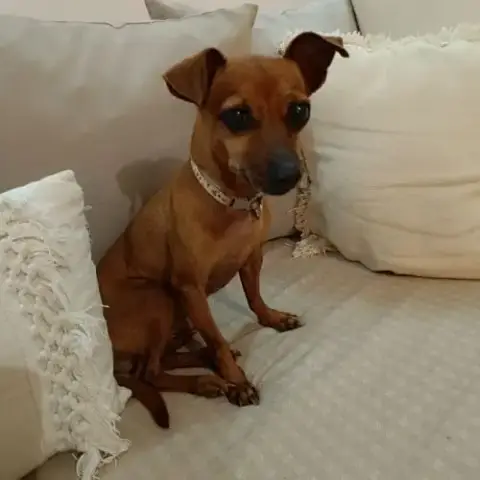 Roxy La Coquine