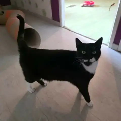 Elena