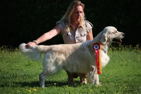 Golden Retriever  Rose De La Fontaine De Ricaud photo 3