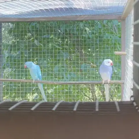 Couple Soleil