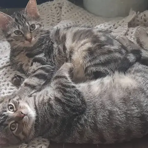 Freya