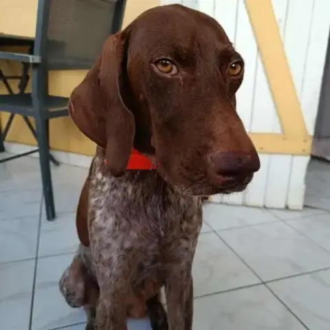 Kiara, Regardez Comme Je Suis Mignonne