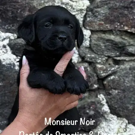 Superbe