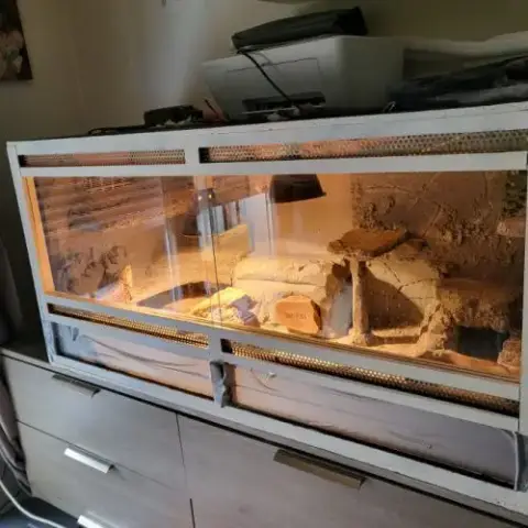 Vend Pogona