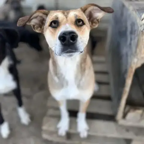 Luna La Douce