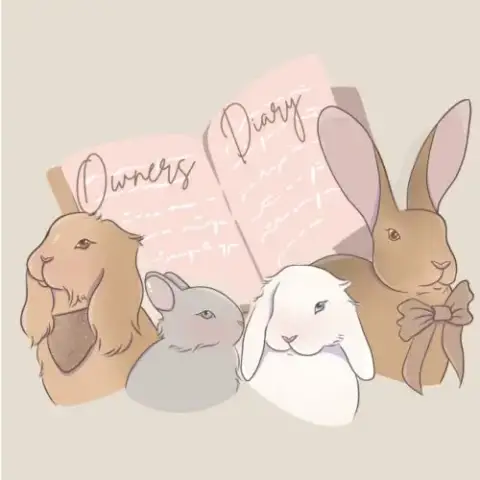 Lapin De Compagnie