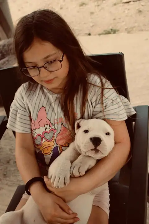 Dogo Argentino  B... Del Sueño Latino Del Sueno Latin f66aa photo 2