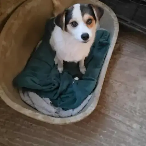 Lulu Attend Une Famille Pour La Vie !