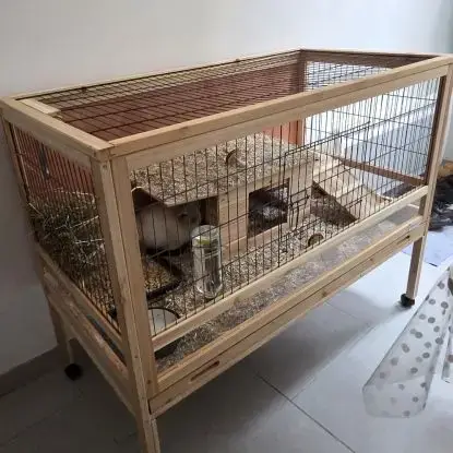 Cage Et Lapins