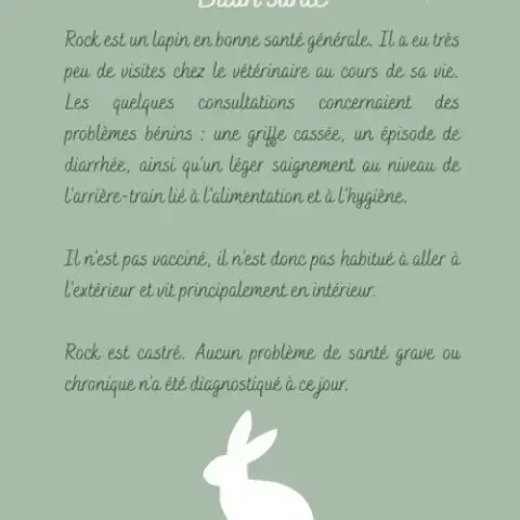 Lapin Nain