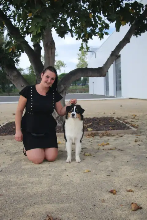 Berger Australien  Chiot N°1 De Windy'Stia photo 3