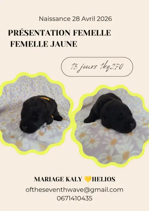 Terre- photo 2