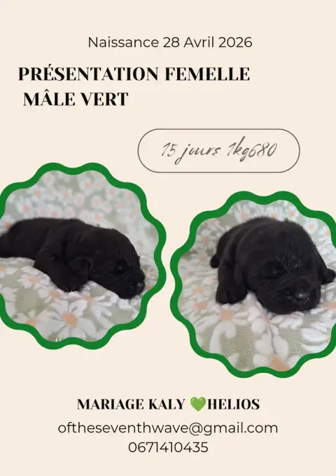 Terre- photo 2