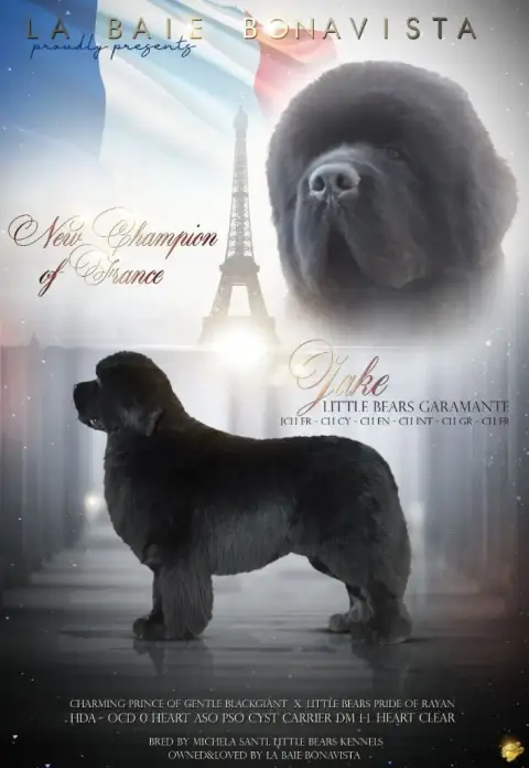 Terre- photo 2