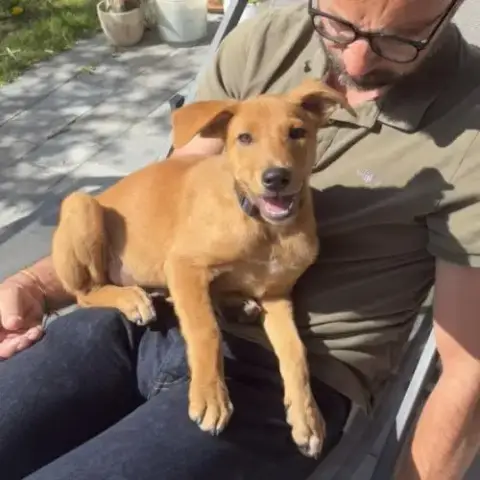 Milo Le Beau Gosse