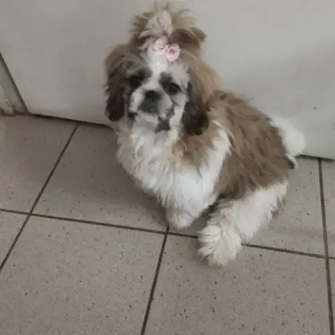 Petite